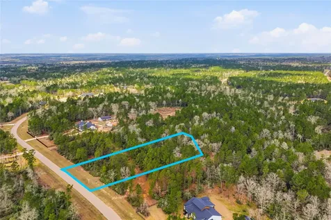 15466 Red Hawk Road Willis TX 77378