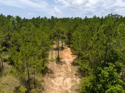 4 Benny Griffin Road Livingston TX 77351