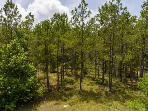 4 Benny Griffin Road Livingston TX 77351