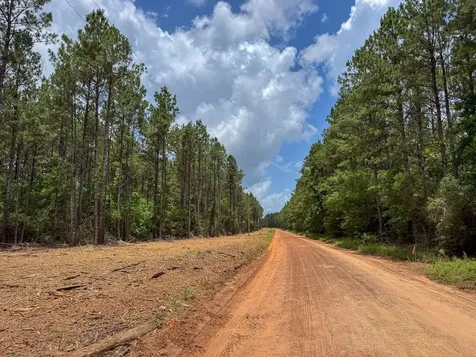 4 Benny Griffin Road Livingston TX 77351