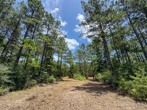 4 Benny Griffin Road Livingston TX 77351