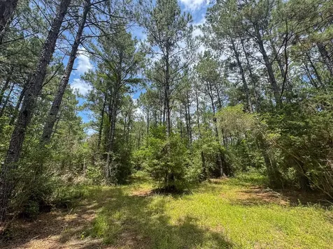 4 Benny Griffin Road Livingston TX 77351