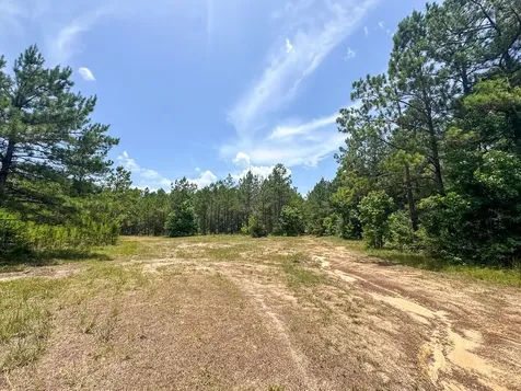 4 Benny Griffin Road Livingston TX 77351