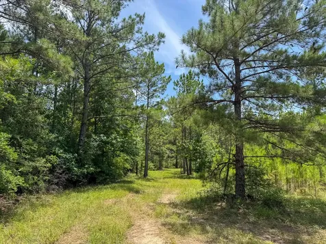 4 Benny Griffin Road Livingston TX 77351