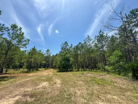 4 Benny Griffin Road Livingston TX 77351