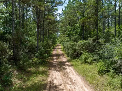 4 Benny Griffin Road Livingston TX 77351