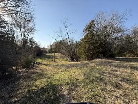 Tbd Tract 5 County Road 445 Fairfield TX 75840