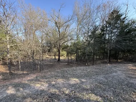 Tbd Tract 5 County Road 445 Fairfield TX 75840