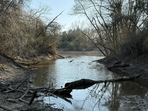 Tbd Tract 5 County Road 445 Fairfield TX 75840