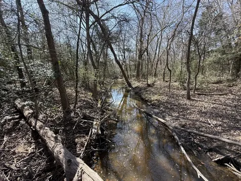 Tbd Tract 5 County Road 445 Fairfield TX 75840