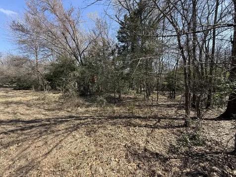 Tbd Tract 5 County Road 445 Fairfield TX 75840