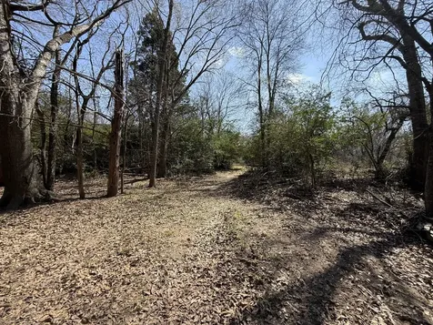 Tbd Tract 5 County Road 445 Fairfield TX 75840