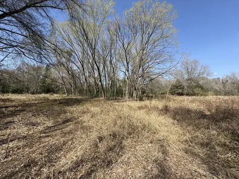 Tbd Tract 5 County Road 445 Fairfield TX 75840