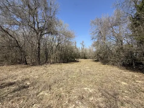 Tbd Tract 5 County Road 445 Fairfield TX 75840