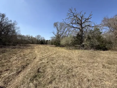Tbd Tract 5 County Road 445 Fairfield TX 75840