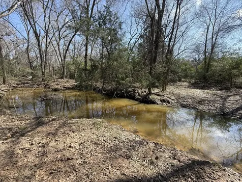 Tbd Tract 5 County Road 445 Fairfield TX 75840