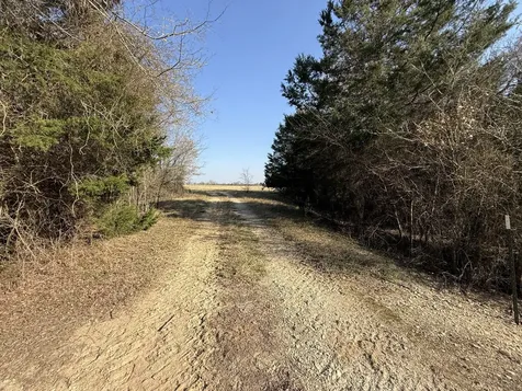 Tbd Tract 5 County Road 445 Fairfield TX 75840