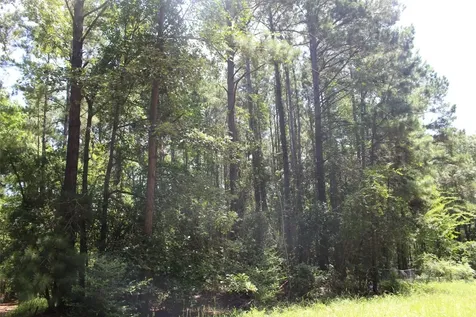 000 Private Road 6050 Crockett TX 75835