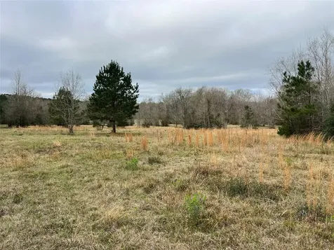 Tbd 59 North Livingston TX 77351