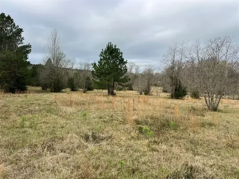 Tbd 59 North Livingston TX 77351