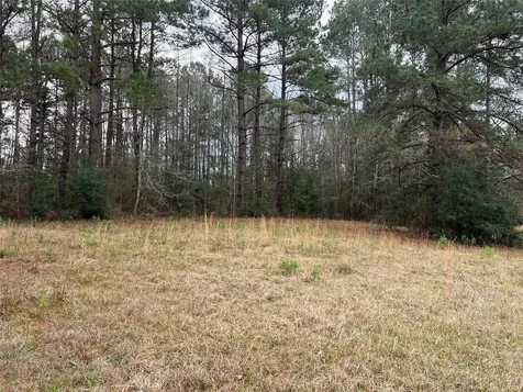Tbd 59 North Livingston TX 77351