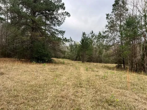 Tbd 59 North Livingston TX 77351