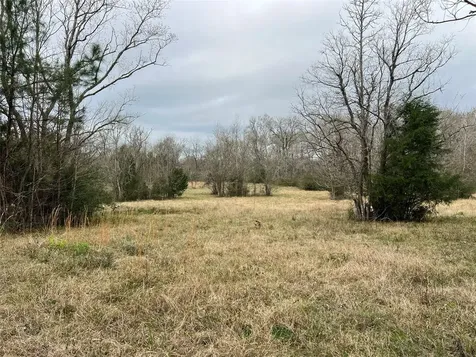Tbd 59 North Livingston TX 77351