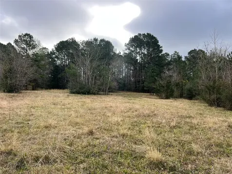 Tbd 59 North Livingston TX 77351