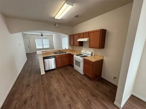 21719 S Mossy Field Lane Spring TX 77388
