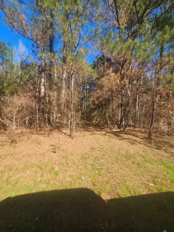 8543 N State Highway 87 Newton TX 75966