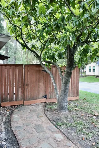 9 Willowherb Court The Woodlands TX 77380