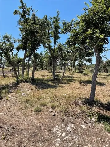 51 Skyview Court Fredericksburg TX 78624