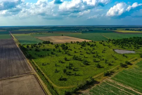 0000 Koym Road Beasley TX 77417