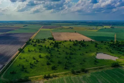 0000 Koym Road Beasley TX 77417