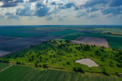 0000 Koym Road Beasley TX 77417