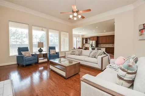 2510 Britton Ridge Drive Katy TX 77494