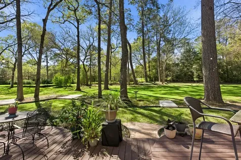 21815 Fearless Drive Hockley TX 77447