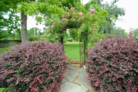 33218 W Forest Court Fulshear TX 77441