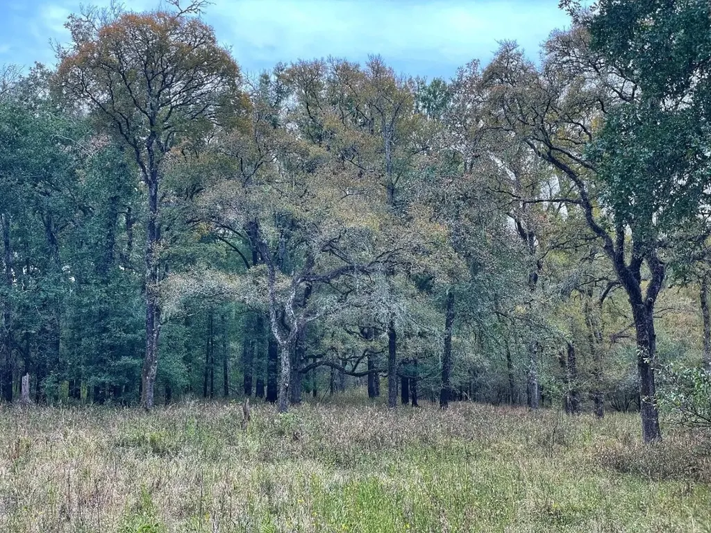 000 Fm-247 Midway TX 75852