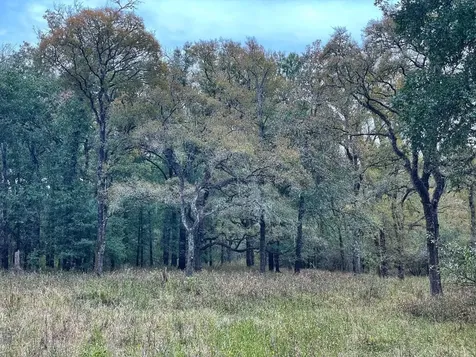 000 Fm-247 Midway TX 75852
