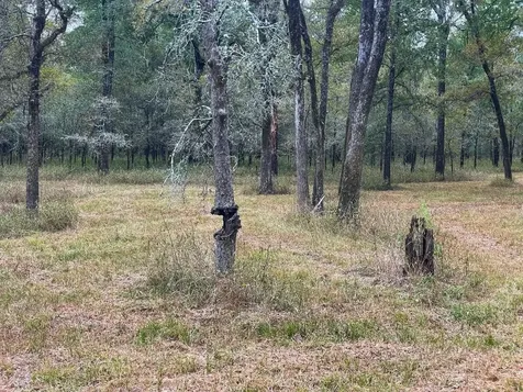 000 Fm-247 Midway TX 75852
