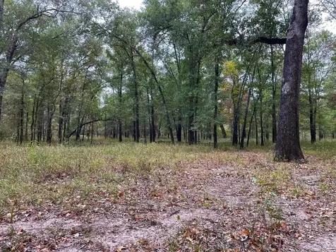 000 Fm-247 Midway TX 75852
