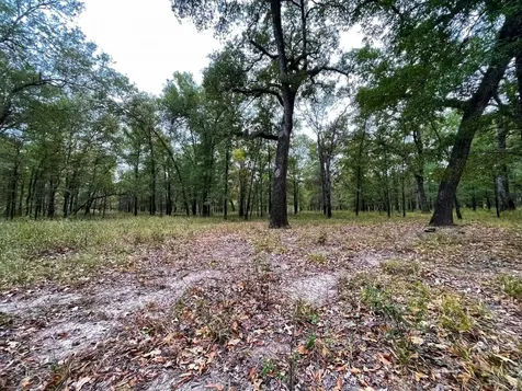 000 Fm-247 Midway TX 75852