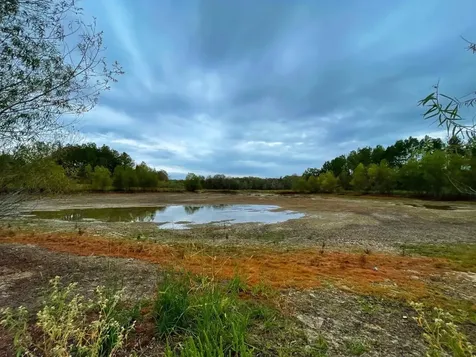 000 Fm-247 Midway TX 75852