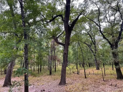 000 Fm-247 Midway TX 75852