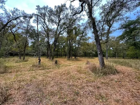 000 Fm-247 Midway TX 75852