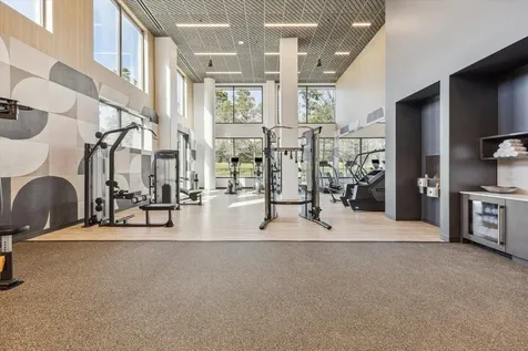 1 Riva Row 715 The Woodlands TX 77380