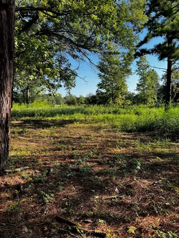 5604 County Road 364 10 Acres Buffalo TX 75831