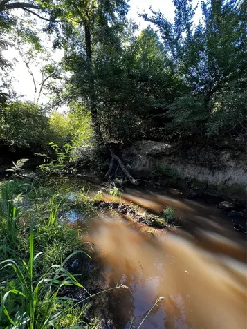 5604 County Road 364 10 Acres Buffalo TX 75831