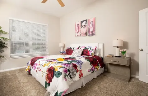 4001 Fannin Street 4431 Houston TX 77004
